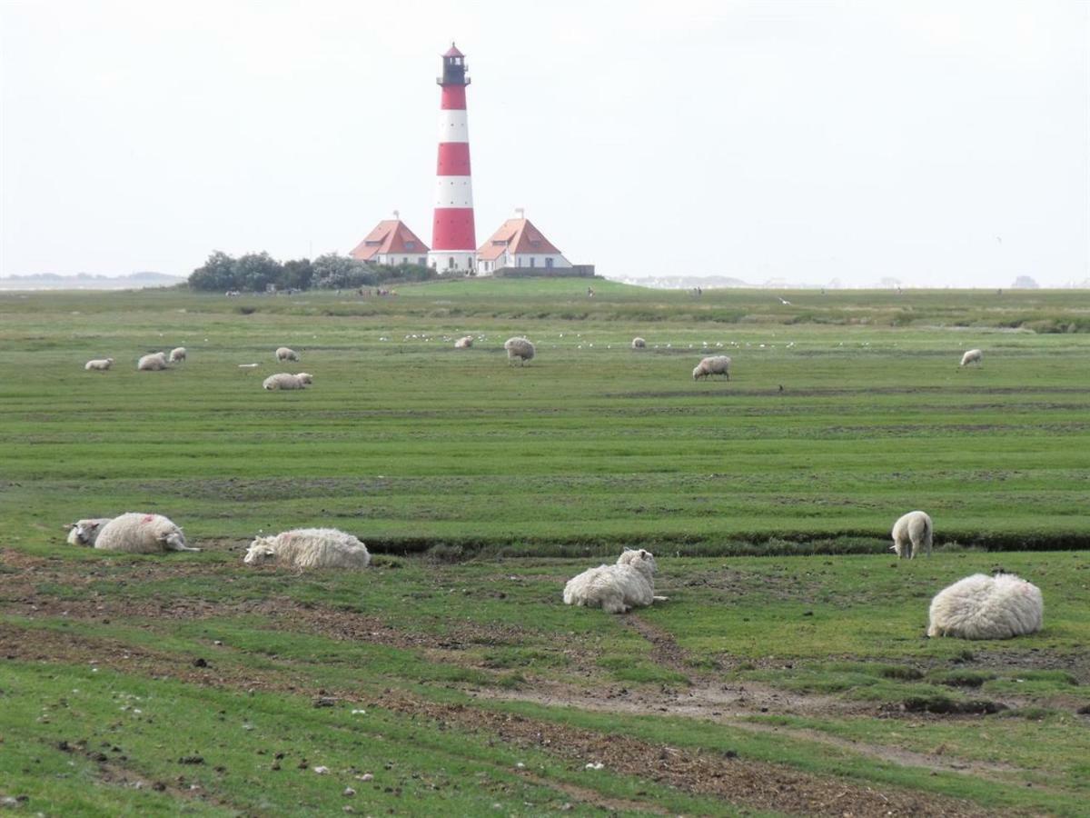 Appartement Deichgans - Haus Loreley Sankt Peter-Ording Eksteriør billede